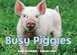 Image of Busy Piggies (A Busy Book)