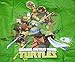 Ninja Turtles TMNT Boy's Raincoat (Large 5-6) Green