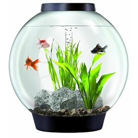 biOrb with Light Fixture (8 Gallons Black) by biOrb