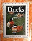 Ducks