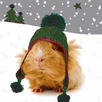 Bobbles Guinea Pigs Christmas Card Pack