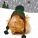 Bobbles Guinea Pigs Christmas Card Pack