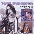 A Wizard, A True Star & Todd