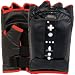 Nintendo Wii Boxing Gloves