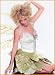 Costume Dragonfly Wings Adult