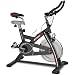 Bladez Fitness Jet GS Indoor Bike