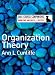Organization Theory (SAGE Course Companions series)