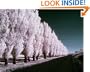 Introduction to Infrared Photography