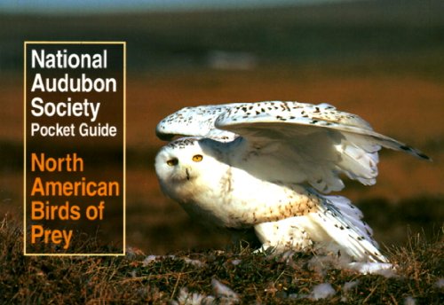 national audubon society pocket guide to north american birds of prey national audubon society pocket guides