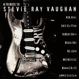 A Tribute to Stevie Ray Vaughan