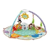 Fisher-Price Precious Planet All Around Musical Playtime Gym