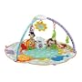 Fisher-Price Precious Planet All Around Musical Playtime Gym