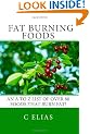 Fat Burning Foods
