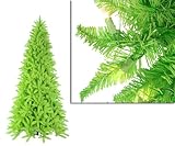 6.5' Pre-Lit Slim Lime Ashley Spruce Christmas Tree - Clear & Green Lights
