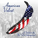 American Velvet: A Tribute to The Velvet Underground