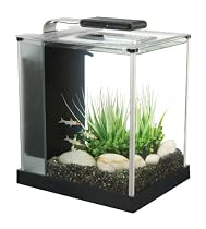 Fluval Spec III Aquarium Kit, 2.6-Gallon, Black
