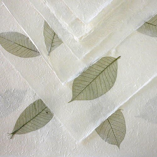 Garden Paper- Sage Leaves 22x30 Inch Sheet