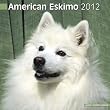Kalender 2012 American Eskimo Dog