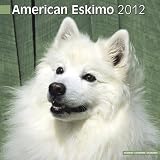 Kalender 2012 American Eskimo Dog