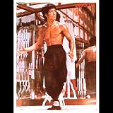 Bruce Lee with Tiger Marks Poster(12 inches x 20 inches)
