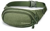 DAKINE(ダカイン) HIP PACK Olive canvas 8130-200