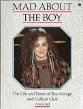 Mad about the boy : the life and times of Boy George and Culture Club