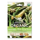 Arora Creations Bhindi Masala Green Veggie Spice Blend 0.5 Ounce Units Pack of 12 by Arora Creations