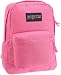 JanSport Classic SuperBreak Backpack