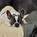 ThermaPet Slumber Pet Burrow Blanket