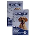 Advantage Flea Control for Dogs 55+ lbs.