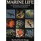 10.	Some GREAT books on underwater Natural History: