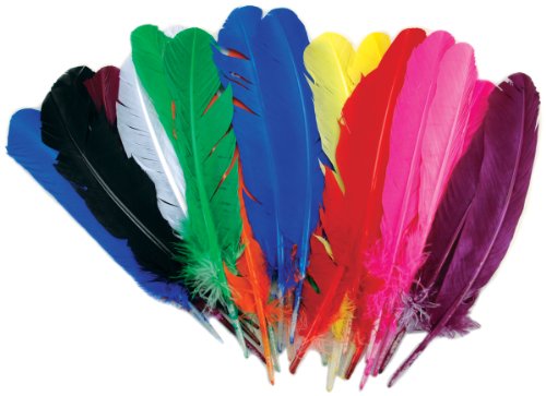 Zucker Feather Products Turkey Quill Value Pack, 25 Count