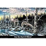 (24x36) Can You Find 15 Wolves? (Nature Scene) Art Poster Print