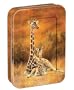 Tree-Free Greetings "Safe on the Savannah", 12 Count EcoFriendly Giraffe Note-card Assortment in a Collectible Photo Frame Tin (95757)