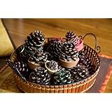 Fire Starter Gift Basket - FREE SHIPPING
