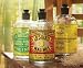 Set of 3 Antique Belgian Labeled Clear Decorative Glass Bottles