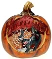 Season's Designs Halloween Decor 9-Inch Resin Black Cat Inside a Pumpkin with LED Lights