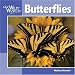 Butterflies (Our Wild World)