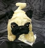 Lil Kinz Pug