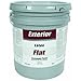 Exterior Latex Flat White House Paint