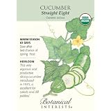 Cucumber Straight Eight Certified Organic Seed