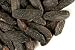 Tonka Beans Bulk Herbs