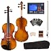 Cecilio CVA-500 13-Inch Ebony Fitted Solid Wood Viola
