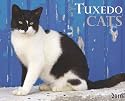Just Tuxedo Cats 2010 Calendar