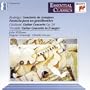 Guitar Concerti
