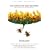 The Anatomy of Buzz Revisited: Real-life lessons in Word-of-Mouth Marketing