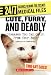 Search : Cute, Furry, And Deadly: Diseases You Can Catch from Your Pet! (24/7: Science Behind the Scenes)