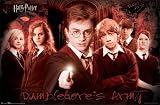 Harry Potter Poster ~ Dumbledore's Army ~ The Order of the Phoenix ~ 22x34