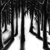 Seelenfeuer an album by Lunar Aurora