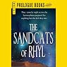 The Sandcats of Rhyl